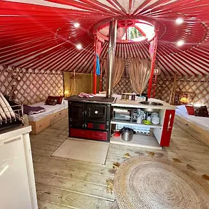 Ravissant Yourte Traditionnelle Quimper
